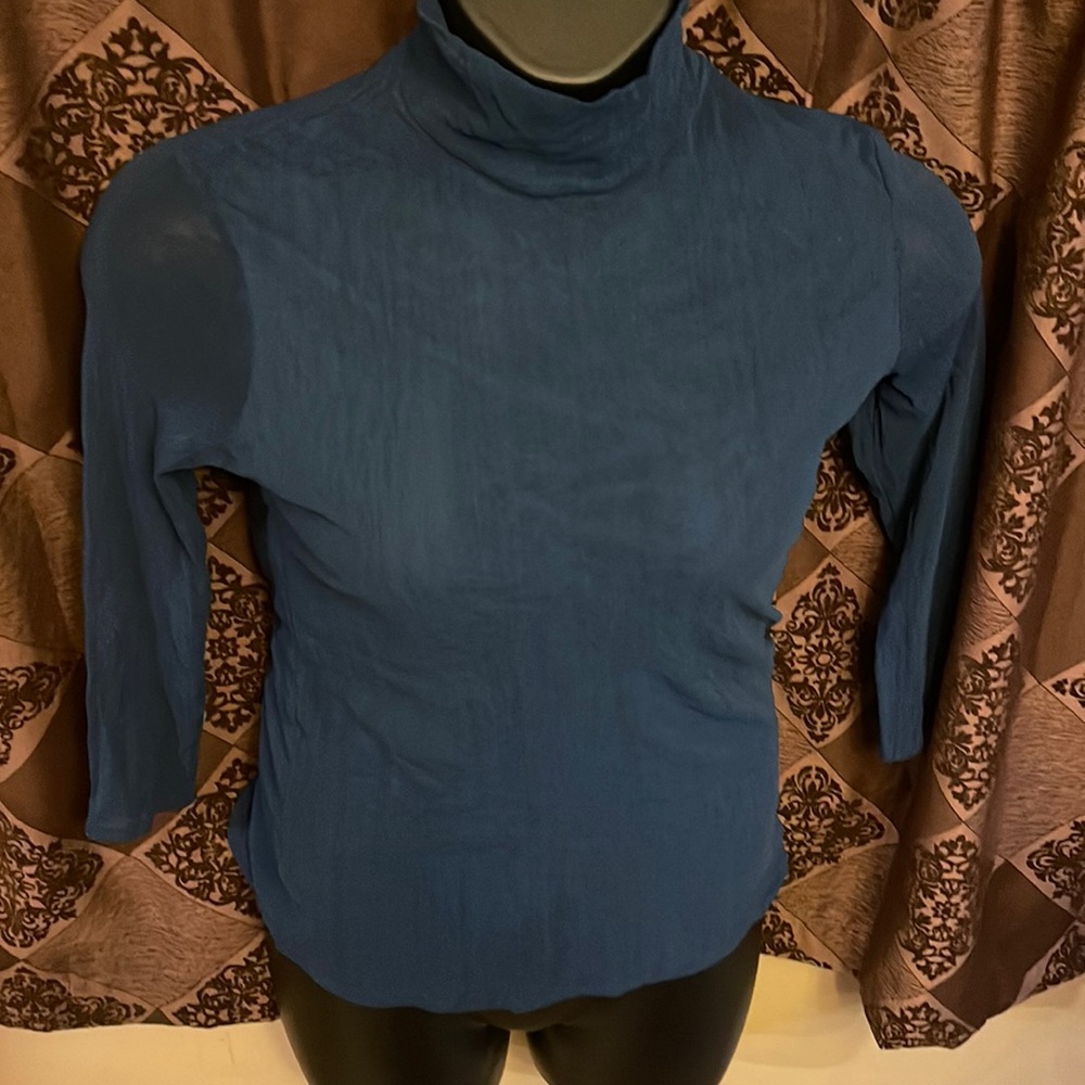 Teal Sheer top
